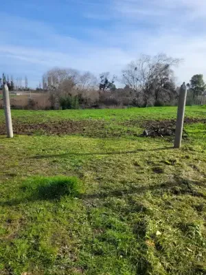 Parcela en venta en San Carlos - foto 2
