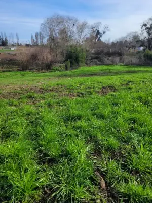 Parcela en venta en San Carlos - foto 5