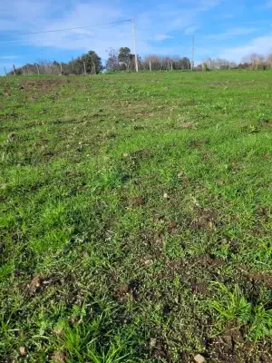 Parcela en venta en San Carlos - foto 4
