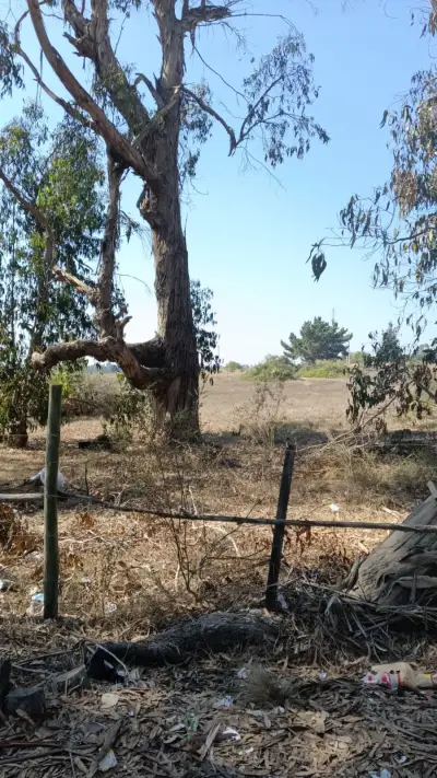 Terreno/sitio en venta en Algarrobo - foto 4