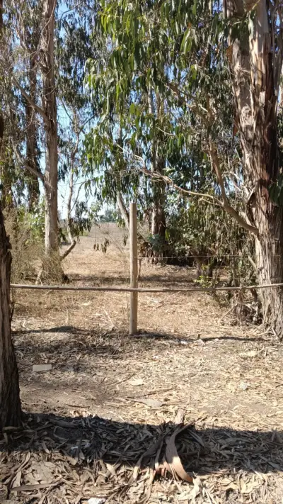 Terreno/sitio en venta en Algarrobo - foto 3