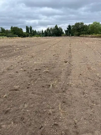 Terreno/sitio en venta en Los Ángeles - foto 3